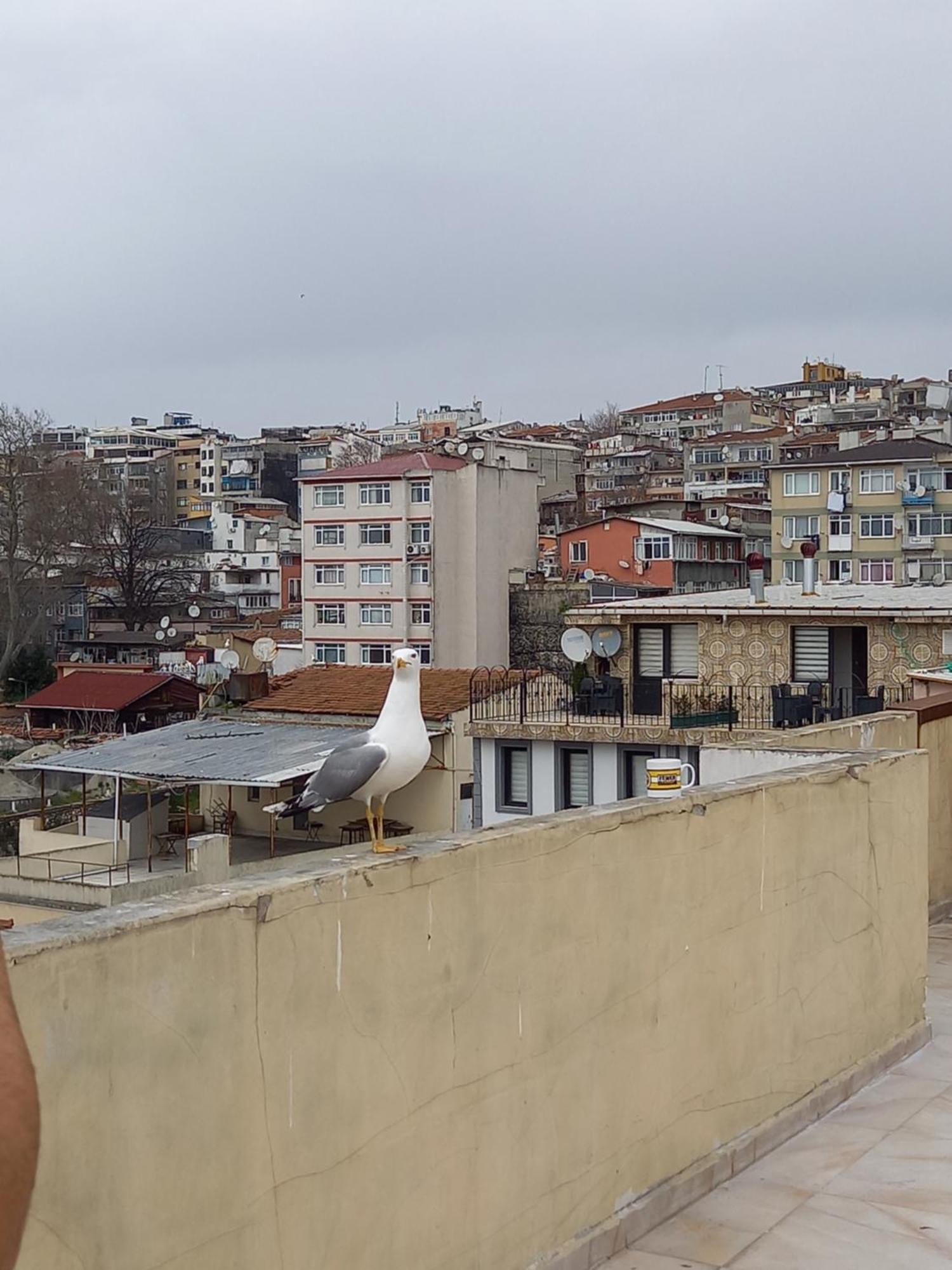 Avsin Residence Istanbul Exterior foto
